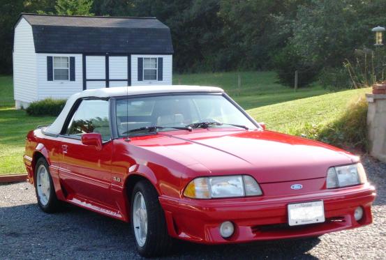 stang_2.JPG