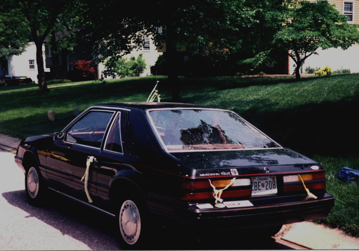 83Stang (Small).jpg