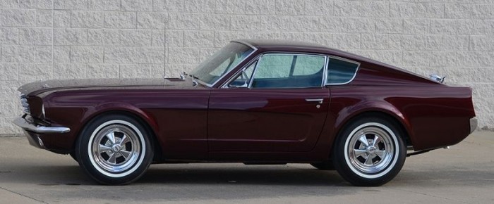 shorty Mustang side.jpg