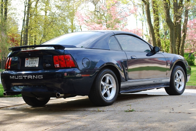 DSC_7418 (640x428).jpg