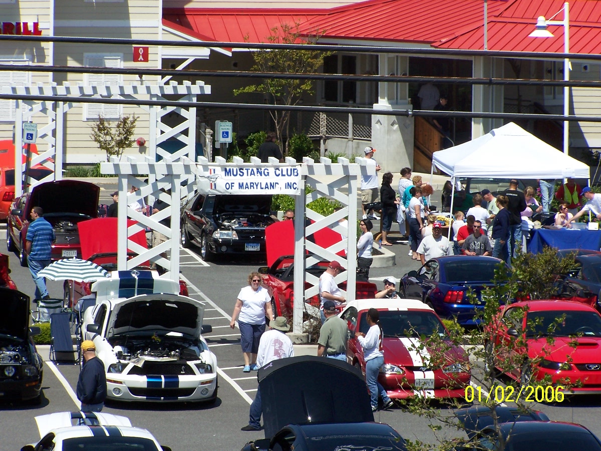 mustang  club pics 002.jpg