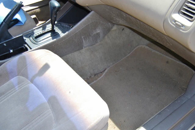 DSC_7565 (640x428).jpg