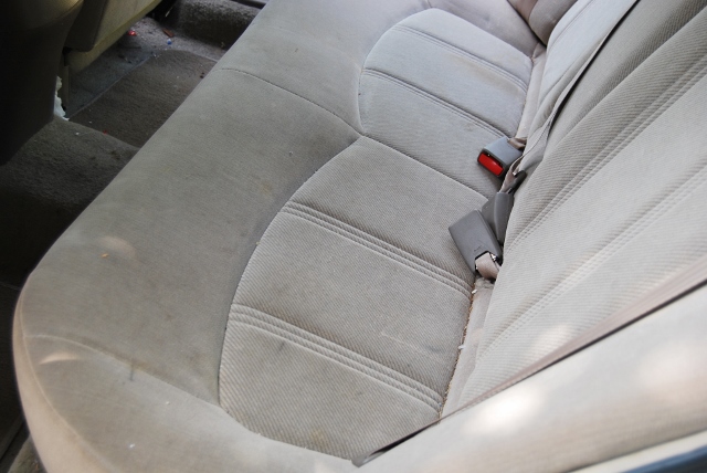 DSC_7576 (640x428).jpg