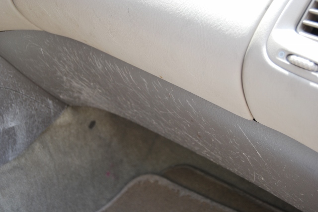 DSC_7590 (640x428).jpg