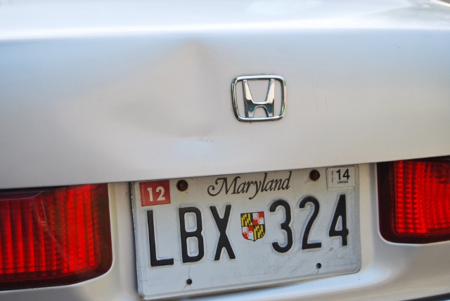 DSC_7546 (640x428).jpg