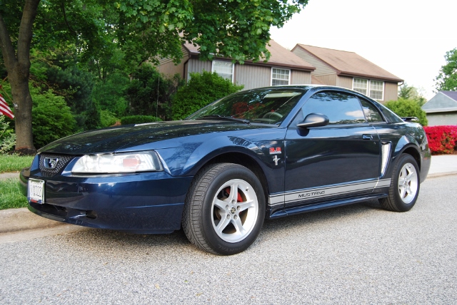 DSC_7713 (640x428).jpg