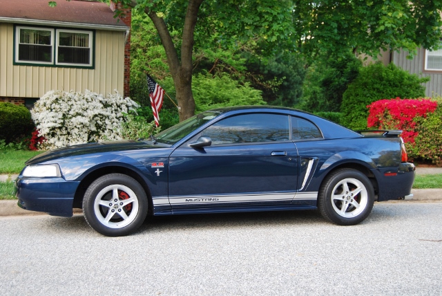 DSC_7690 (640x428).jpg