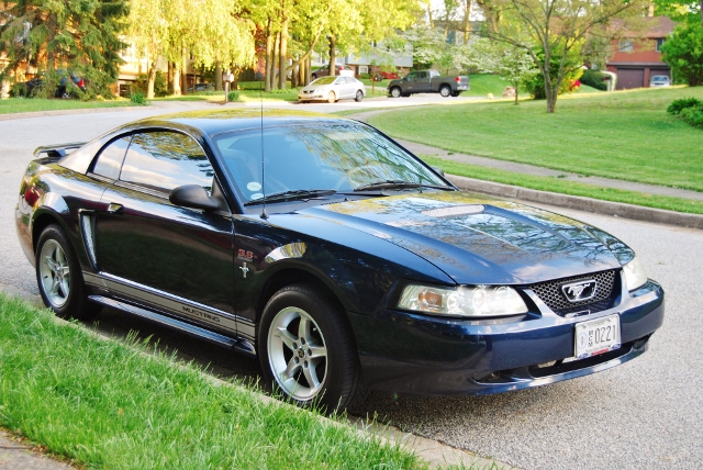 DSC_7686 (640x428).jpg