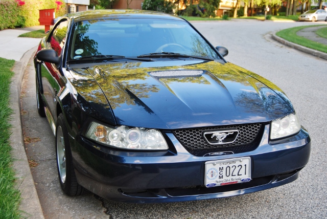 DSC_7687 (640x428).jpg