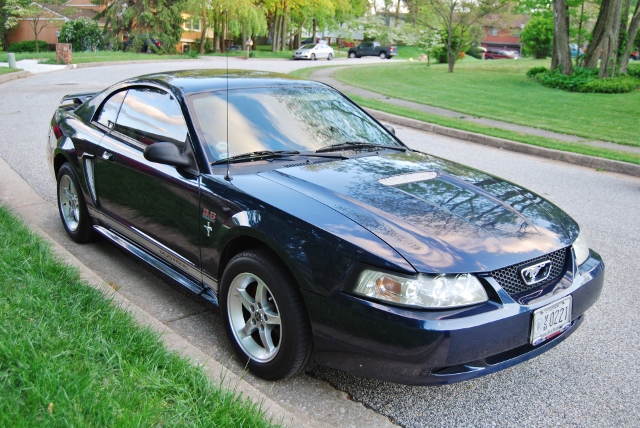 DSC_7694 (640x428).jpg