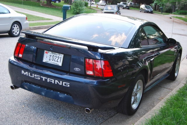 DSC_7693 (640x428).jpg