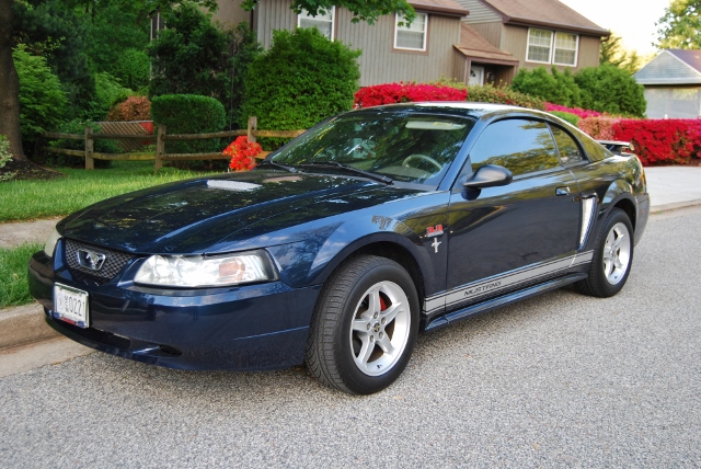 DSC_7689 (640x428).jpg