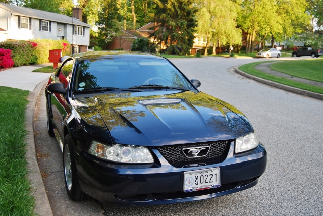 DSC_7688 (640x428).jpg