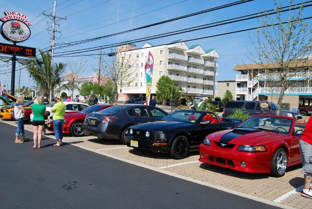 DSC_7808 (640x428).jpg