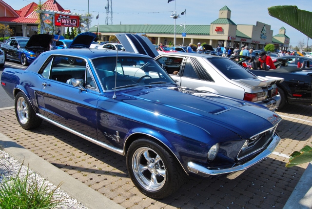 DSC_7801 (640x428).jpg