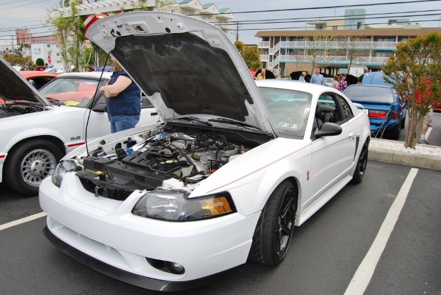 DSC_7883 (640x428).jpg