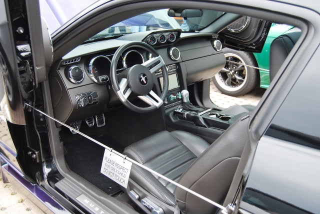 DSC_7974 (640x428).jpg