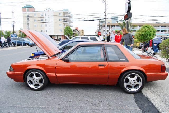 DSC_8019 (640x428).jpg