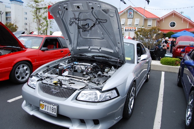DSC_7986 (640x428).jpg
