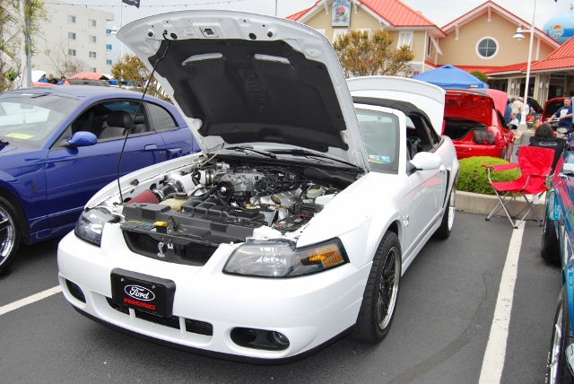 DSC_7984 (640x428).jpg