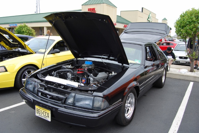 DSC_7979 (640x428).jpg