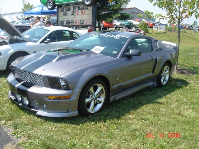 Silver Eleanor front sm.jpg