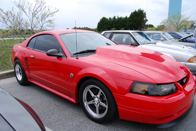 DSC_8064 (640x428).jpg