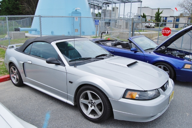 DSC_8079 (640x428).jpg