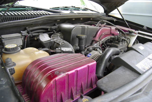 DSC_8271 (640x428).jpg