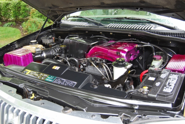 DSC_8281 (640x428).jpg