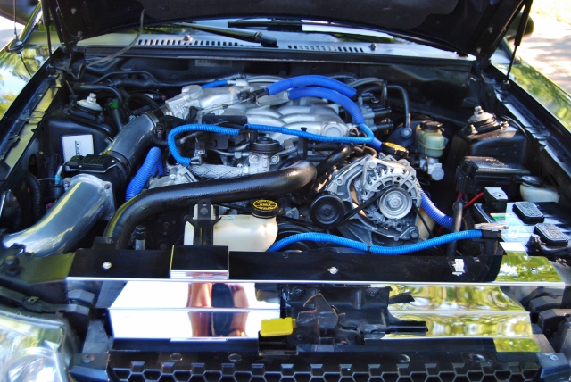 DSC_5137 (640x428).jpg