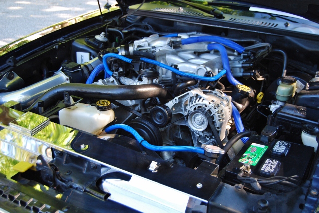 DSC_5138 (640x428).jpg