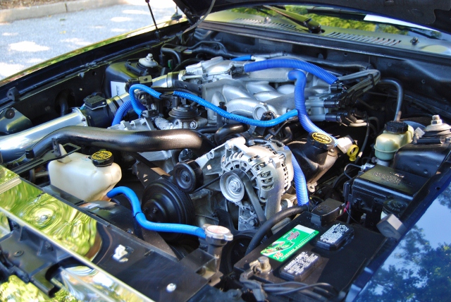 DSC_5140 (640x428).jpg