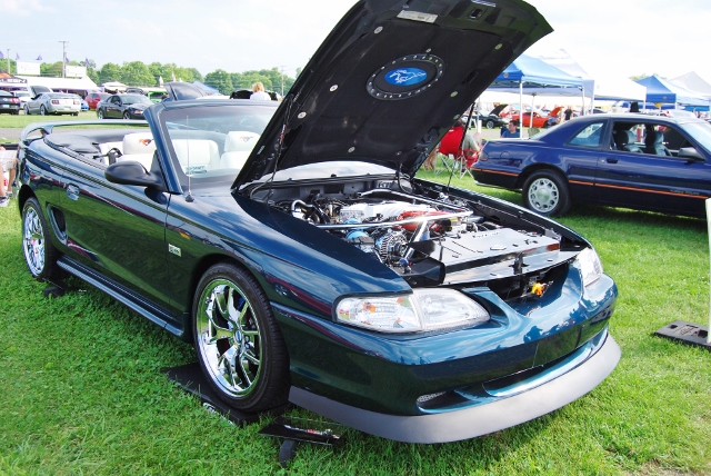 DSC_8700 (640x428).jpg