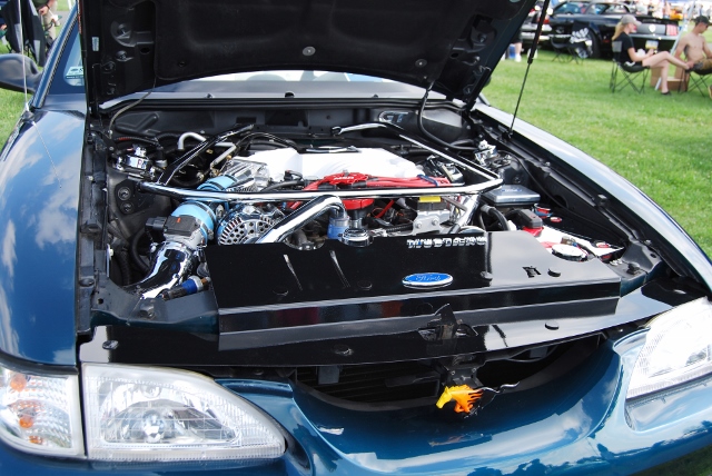 DSC_8699 (640x428).jpg