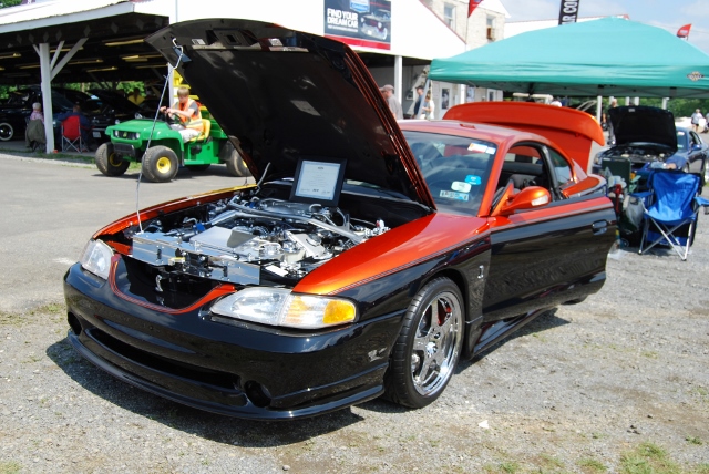 DSC_8646 (640x428).jpg