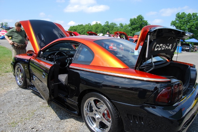 DSC_8641 (640x428).jpg