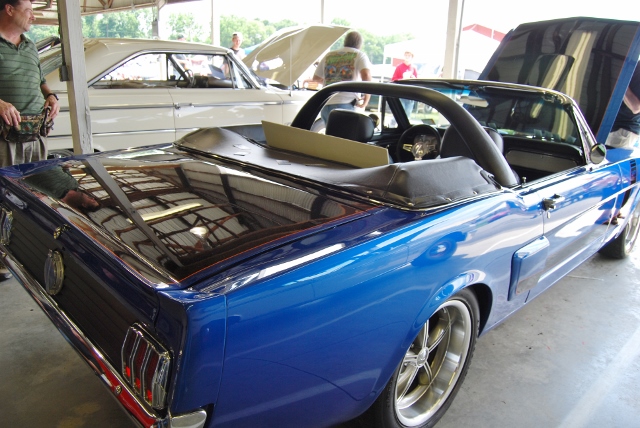 DSC_8634 (640x428).jpg