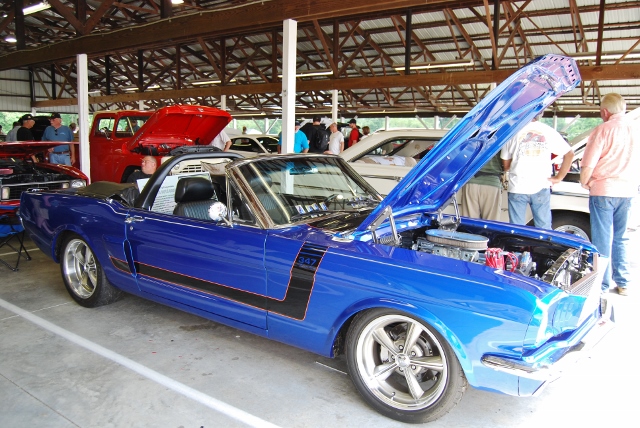 DSC_8632 (640x428).jpg