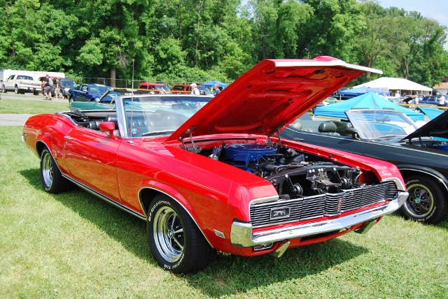 DSC_8629 (640x428).jpg