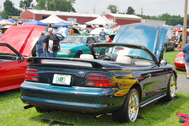 DSC_8614 (640x428).jpg