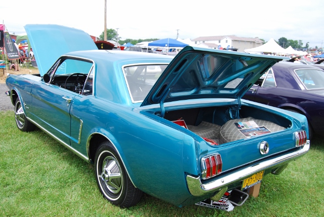 DSC_8577 (640x428).jpg