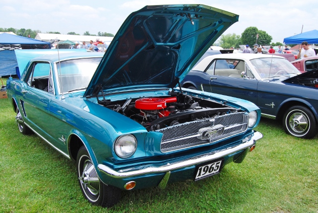 DSC_8567 (640x428).jpg