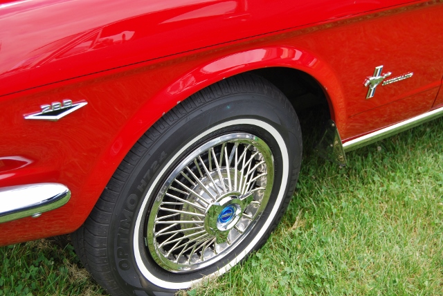 DSC_8565 (640x428).jpg