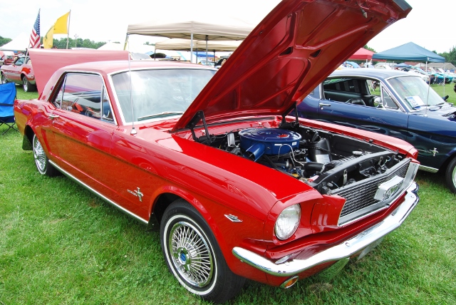 DSC_8559 (640x428).jpg