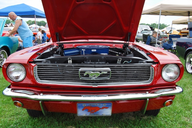 DSC_8558 (640x428).jpg