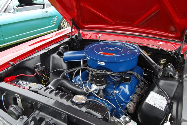 DSC_8557 (640x428).jpg