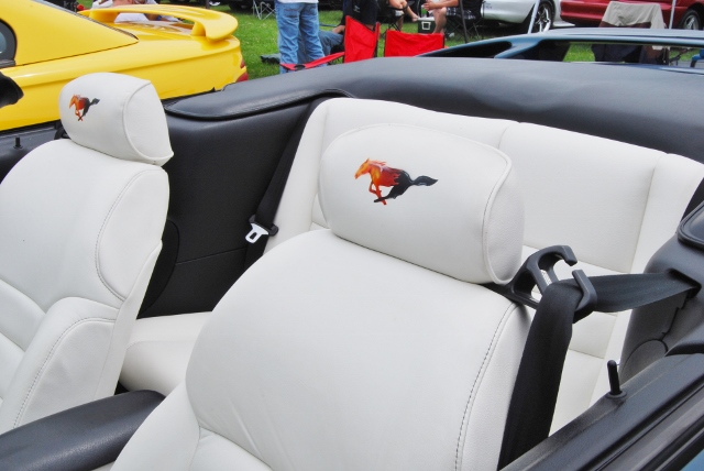 DSC_8553 (640x428).jpg