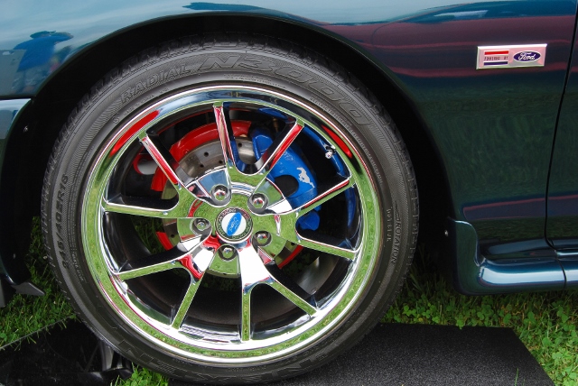 DSC_8551 (640x428).jpg