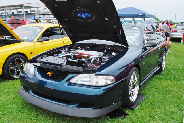 DSC_8550 (640x428).jpg